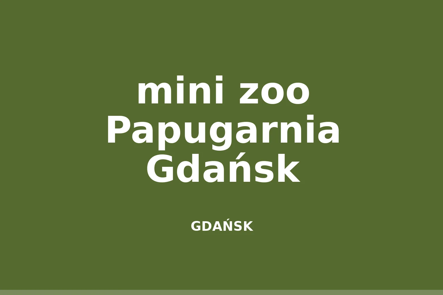 mini zoo Papugarnia Gdańsk